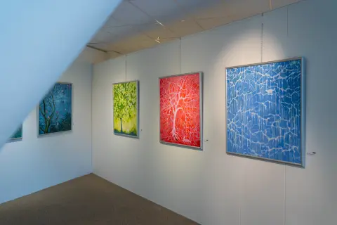 Art Fusion villa arena gallery 10