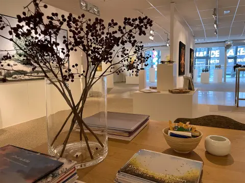 Art Fusion villa arena gallery 11