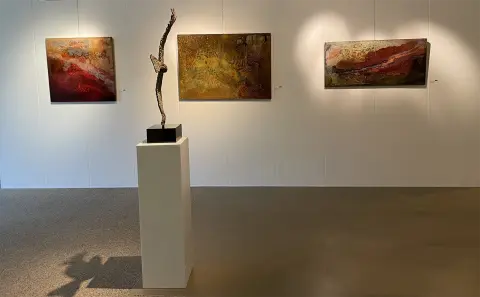 Art Fusion villa arena gallery 14