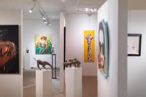 Art Fusion villa arena gallery 3