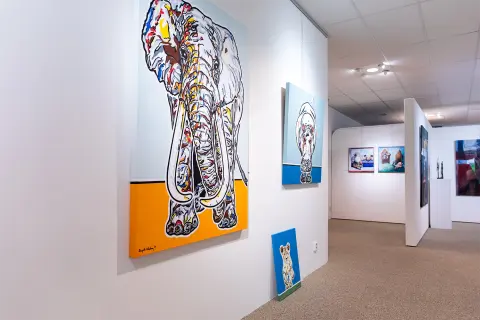 Art Fusion villa arena gallery 4