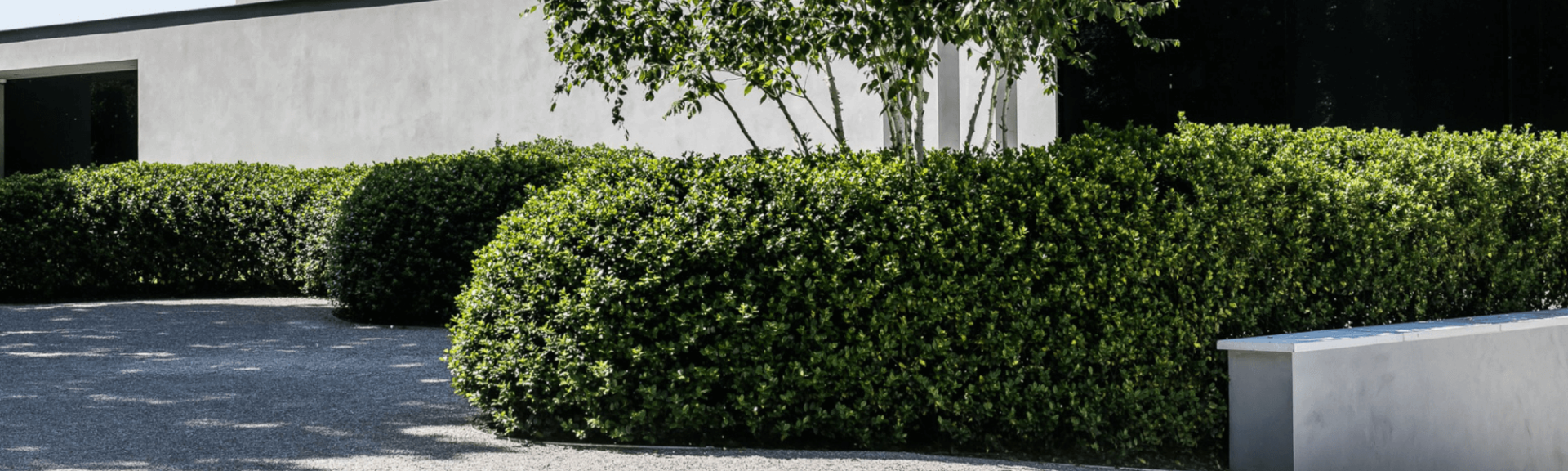 Banner    smits (1)