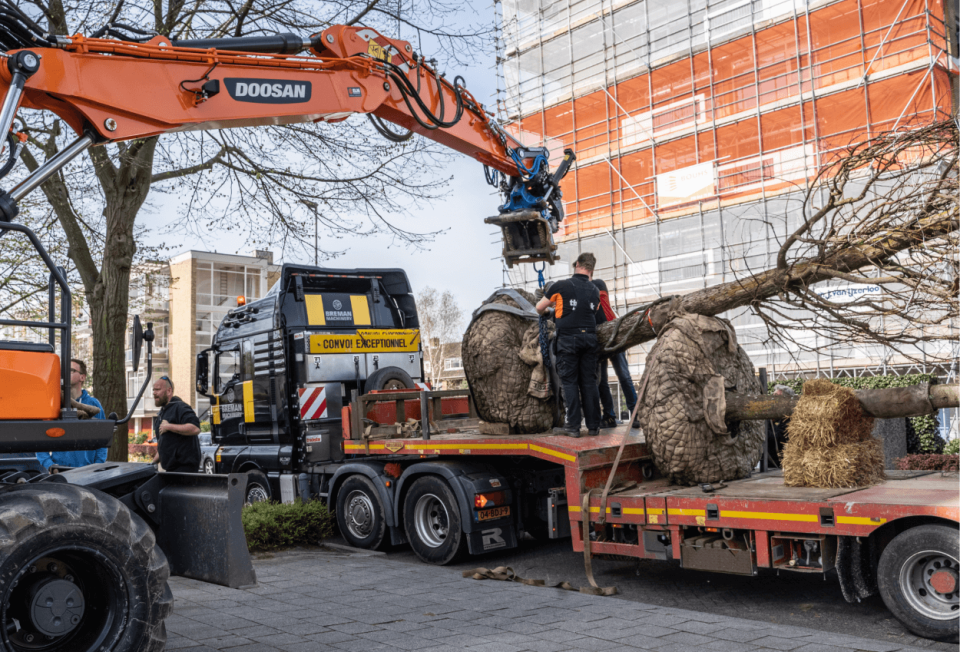 Wij transporten nieuwe bomen van locatie tot in uw tuin
