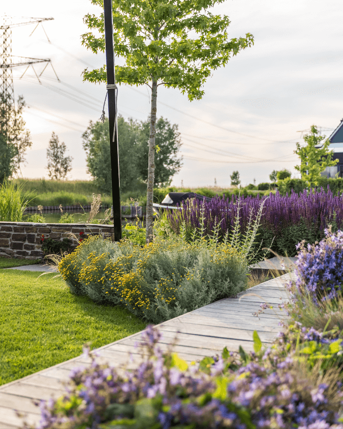 Bordertuin geel en paars