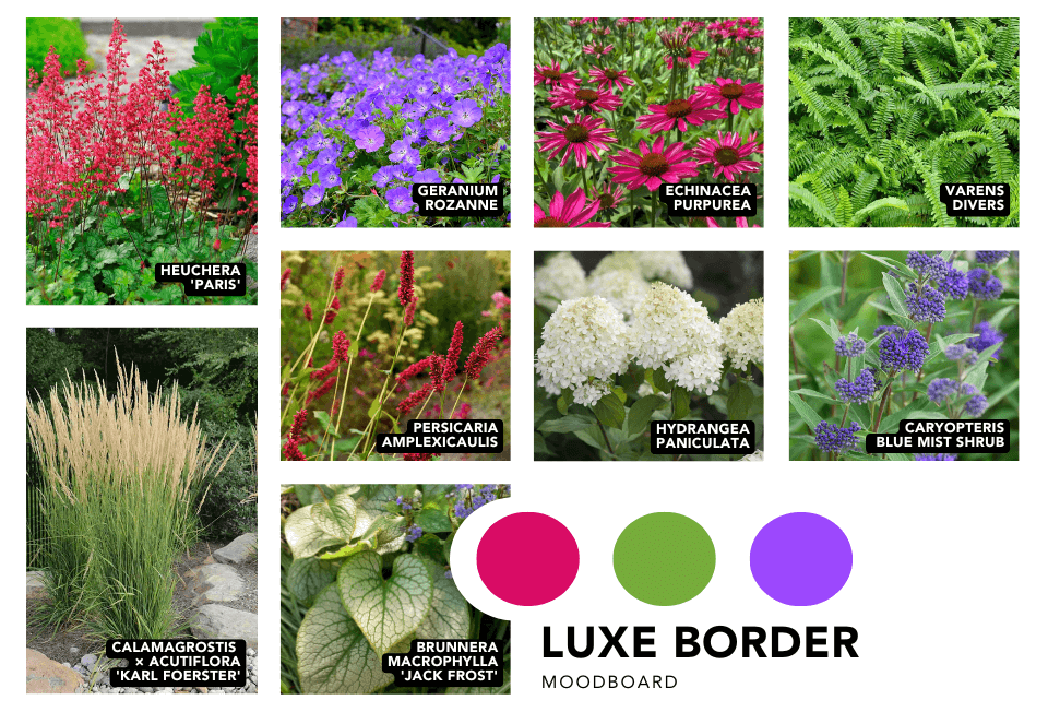 Border voor de tuin met luxe uitstraling en gekleurde bloemen zoals de Persicaria  amplexicaulis en de Geranium ROZANNE