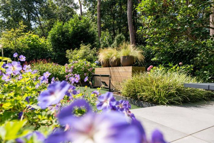Beplanting in achtertuin met geranium en hortensia's