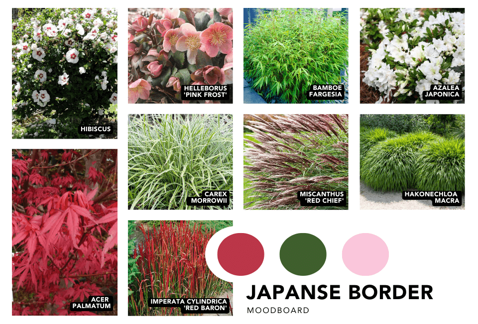 Moodboard met japanse beplanting zoals de hibiscus en diverse siergrassen met rode tinten