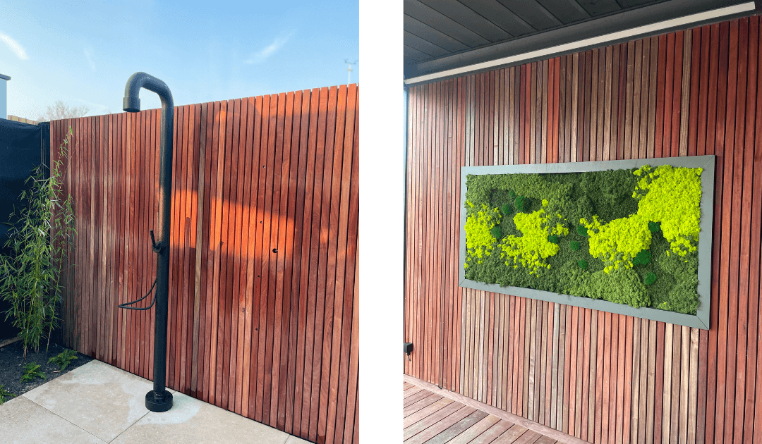 Tuin afscheiding: 5 alternatieven voor een schutting
