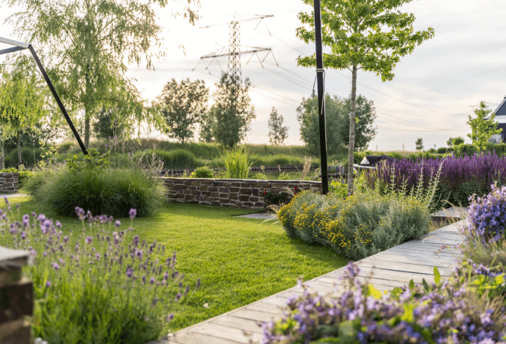 Fullservice tuinonderhoud door hovenier voor gazon, borders en bomen
