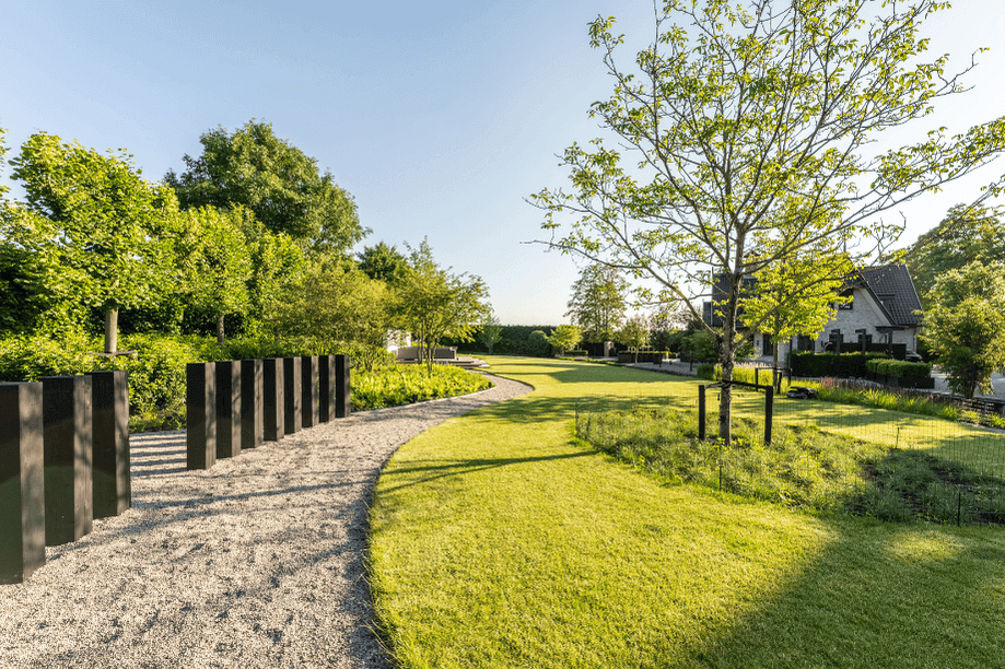 Groene moderne achtertuin met gazon en grote bomen