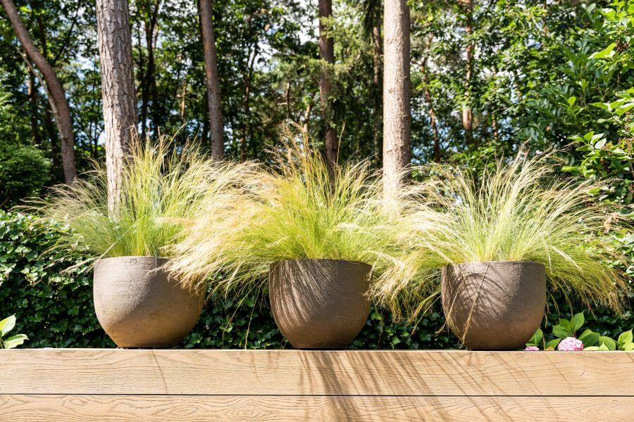 potten vedergras atelier vierkant stipa tenuissima