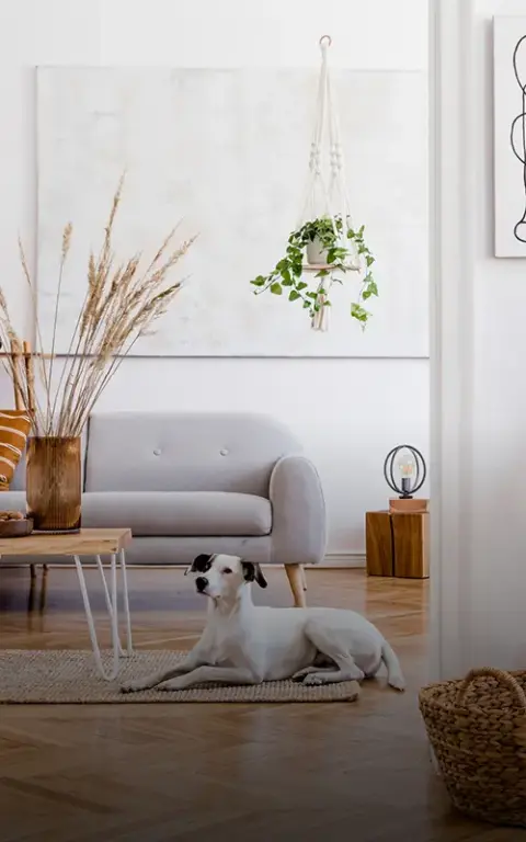 Scandinavisch  Woonkamer Woonstijlen Villa Arena Amsterdam Homepage