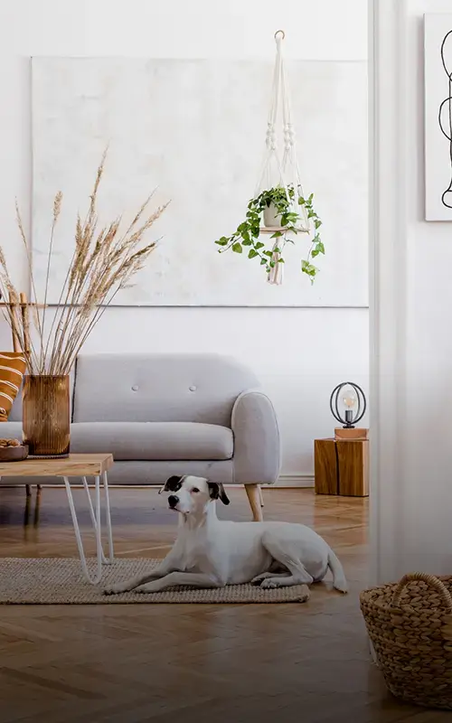 Scandinavisch  Woonkamer Woonstijlen Villa Arena Amsterdam Homepage