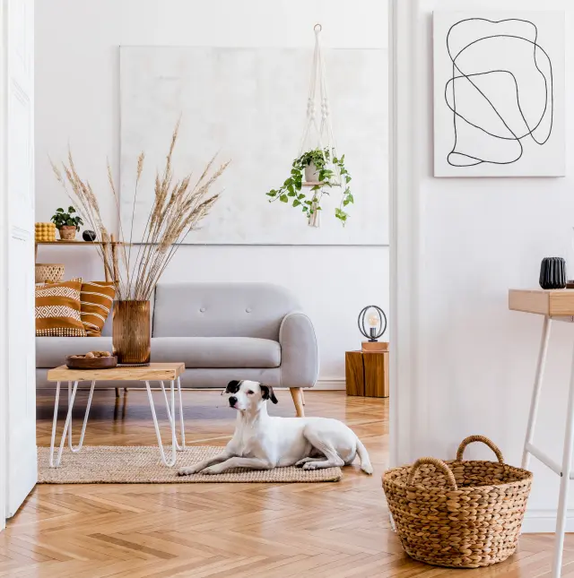 Scandinavisch  Woonkamer Woonstijlen Villa Arena Amsterdam Liggend
