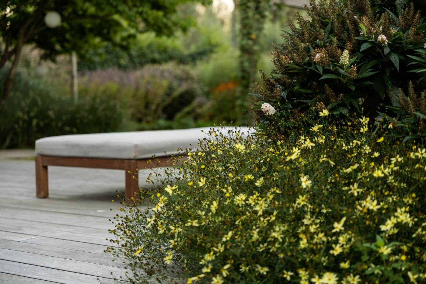 tuin-in-rotterdam-stadstuin-groene-achtertuin