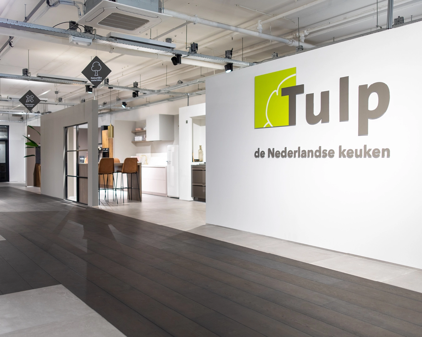 Tulp