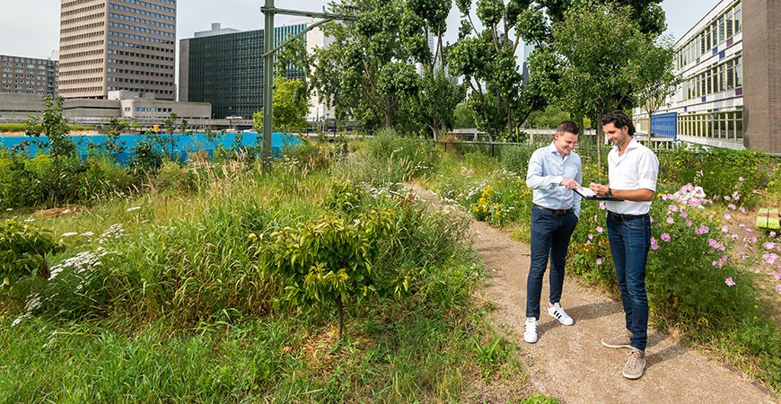 Blog foto