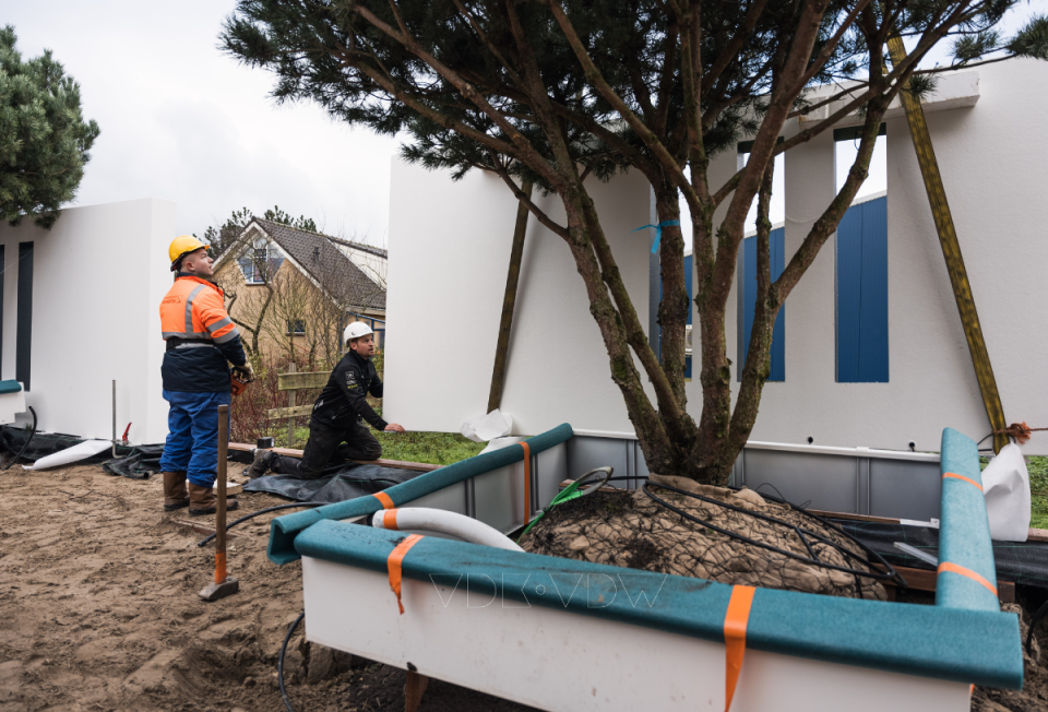 \Professionele aanleg van een complete tuin van ontwerp tot uitvoering