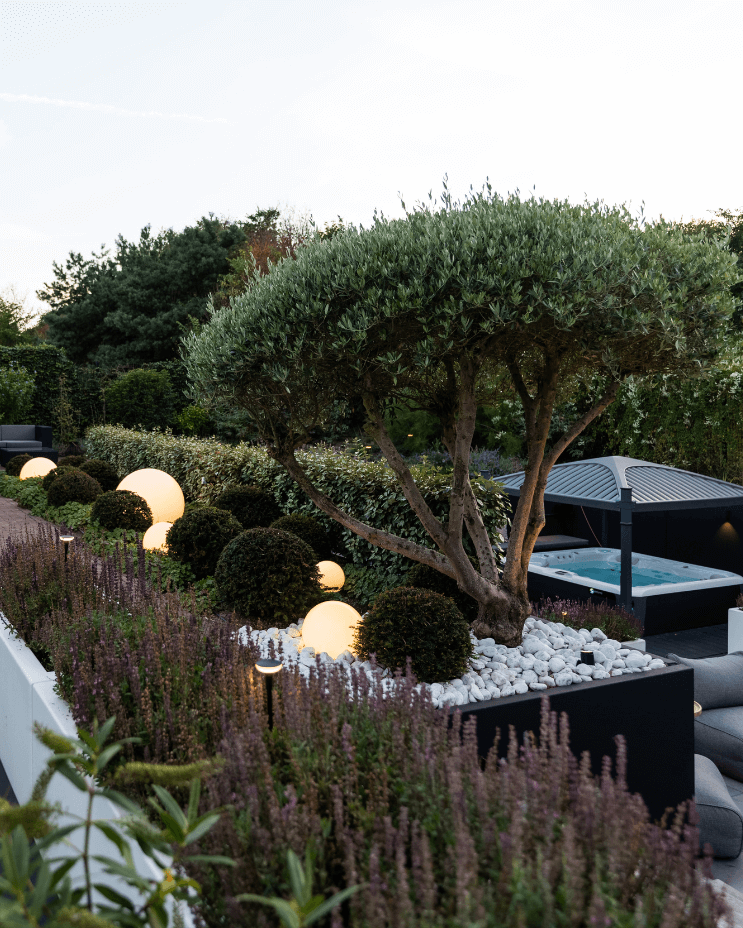 Wellness tuin taxus bollen tuinverlichting